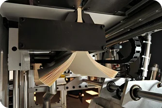 Machinery printing books